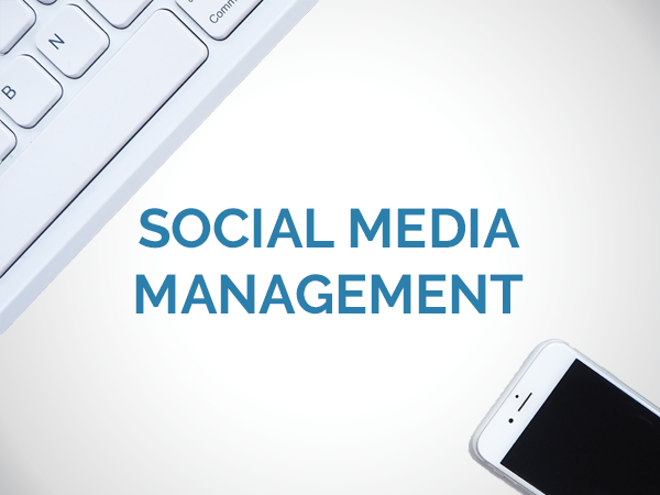 social media management